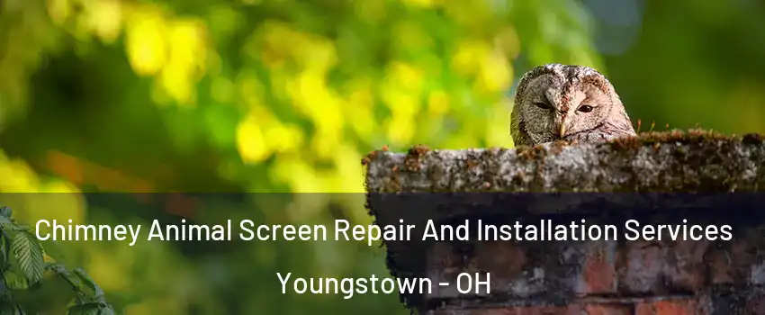  Chimney Animal Screen Repair And Installation Services Youngstown - OH