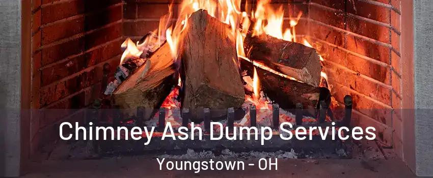  Chimney Ash Dump Services Youngstown - OH