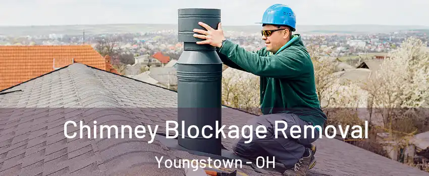  Chimney Blockage Removal Youngstown - OH