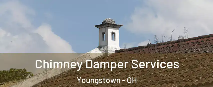  Chimney Damper Services Youngstown - OH