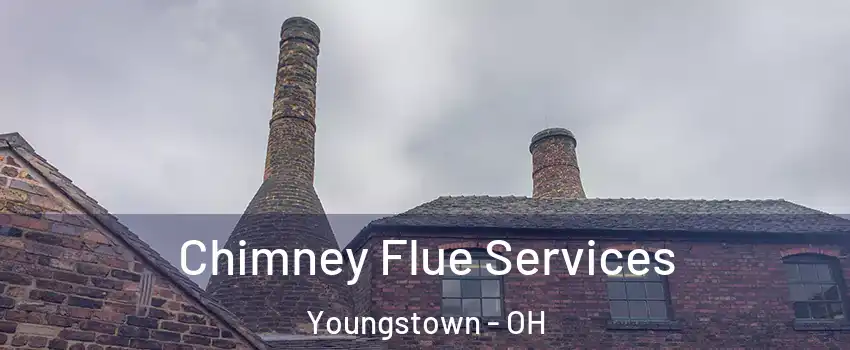  Chimney Flue Services Youngstown - OH
