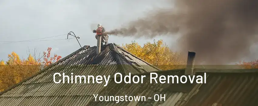  Chimney Odor Removal Youngstown - OH