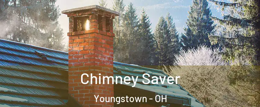  Chimney Saver Youngstown - OH
