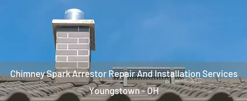  Chimney Spark Arrestor Repair And Installation Services Youngstown - OH