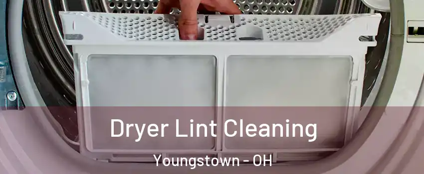  Dryer Lint Cleaning Youngstown - OH