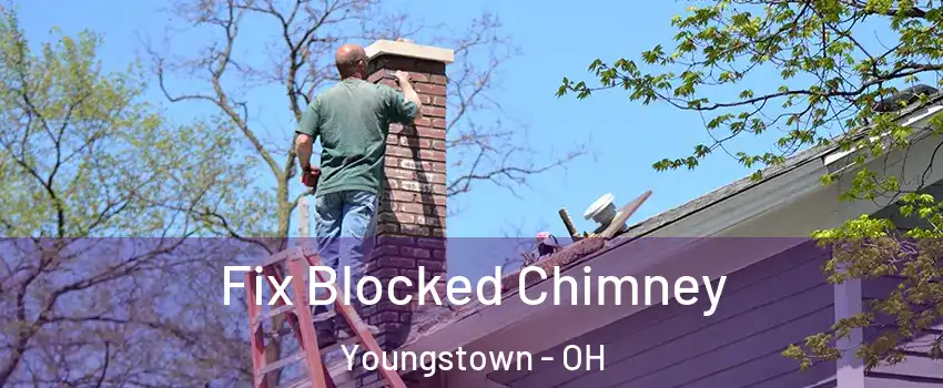  Fix Blocked Chimney Youngstown - OH