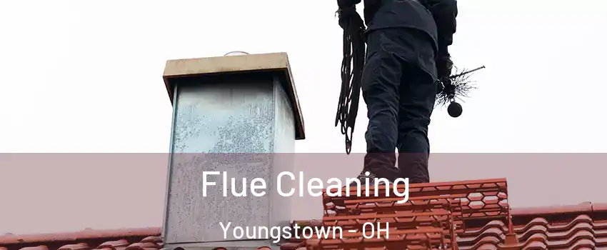  Flue Cleaning Youngstown - OH