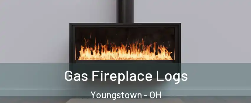  Gas Fireplace Logs Youngstown - OH