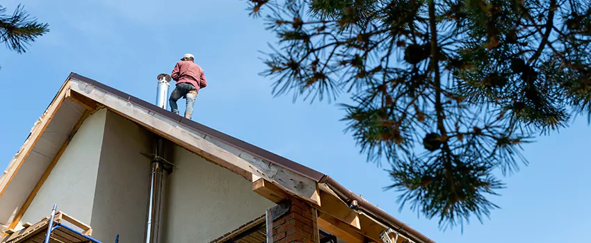 Birds Removal Contractors from Chimney in Youngstown, OH