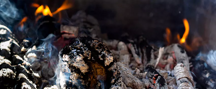 Creosote Removal Experts in Youngstown, OH