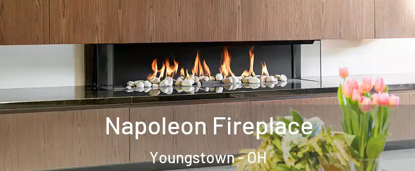  Napoleon Fireplace Youngstown - OH